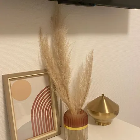 Cozy Near City, Stadium And Klinikum Appartement *